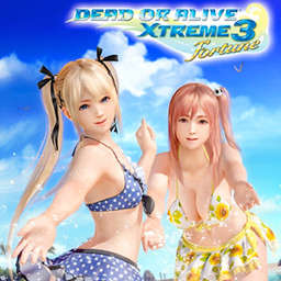 Dead or Alive Xtreme 3 Cheats For PlayStation 4 PlayStation Vita